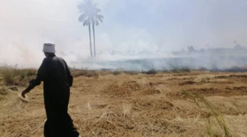 شؤون البيئة بالشرقية تحرر 189 محضرًا لمخالفي قوانين مكافحة السحابة السوداء وتحد من تلوث الهواء